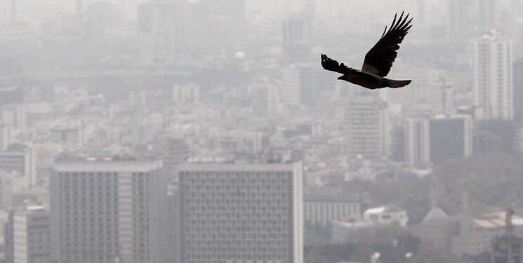 آلودگی‌ هوا کروناویروس را ۸ درصد مرگبارتر کرده است